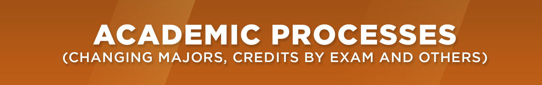 Academic Processes